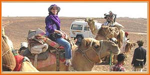 Camel Safari - Khuri Village 
