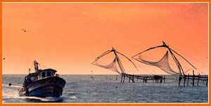 Chinese Net - Cochin