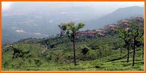 Ooty